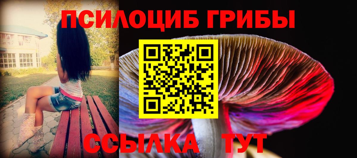 Ростов Великий  Псилоцибиновые грибы прущие грибы  цена   Вход с VPN 