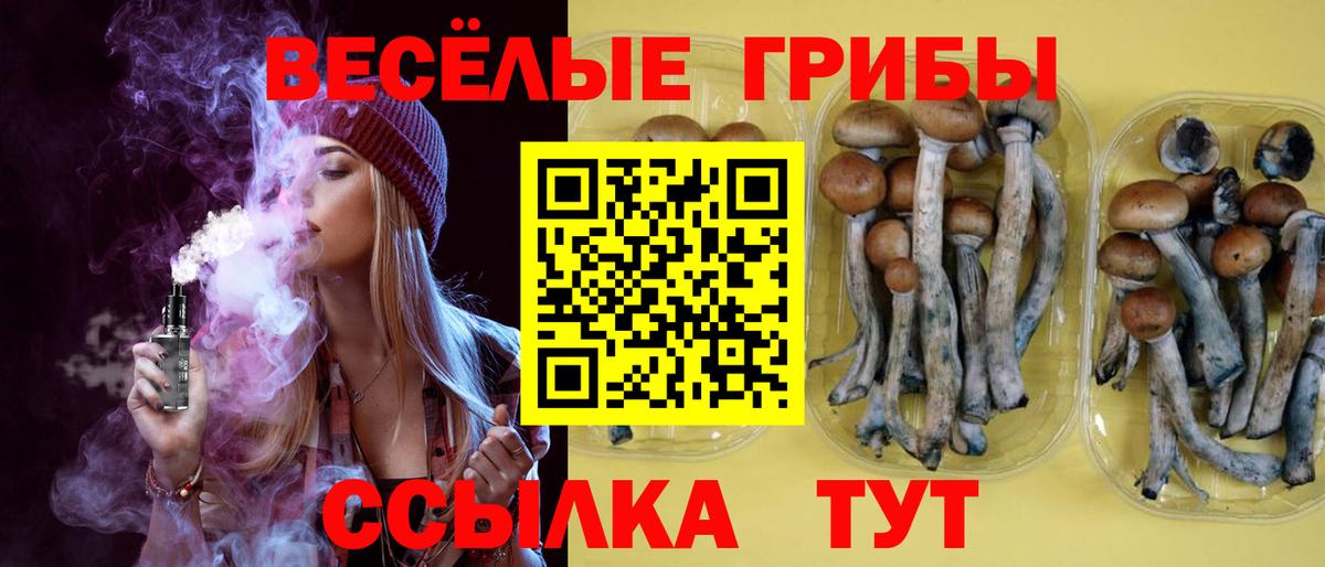Галлюциногенные грибы Psilocybe Ростов Великий